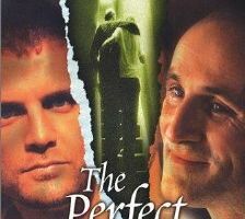 Идеальный сын