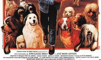 Дом с 40 собаками