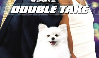 Двойные неприятности