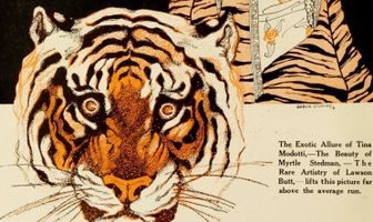 The Tiger's Coat