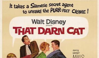 Эта дикая кошка