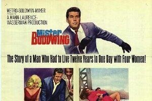 Мистер Буддвинг