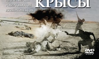 Песчаные крысы