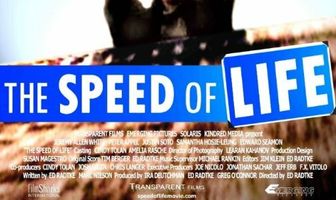 Скорость жизни