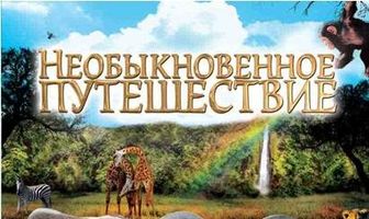 Необыкновенное путешествие: История про двух слонят