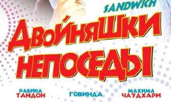 Двойняшки непоседы