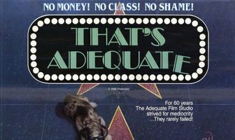 Это адекватно