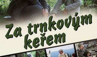 За кустами терновника