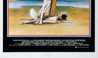 Сырая низина, США