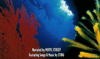 Живой океан