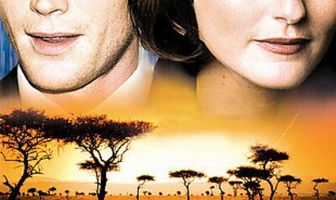 После дождя