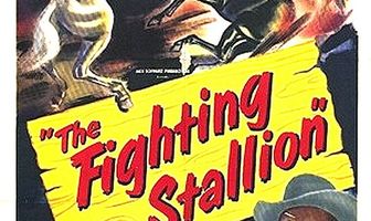 The Fighting Stallion