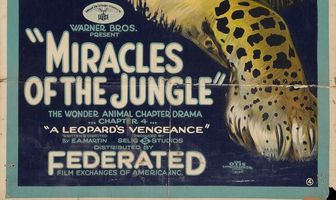 Miracles of the Jungle