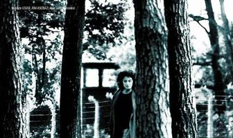 Березовый луг