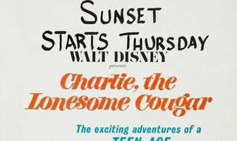 Чарли — одинокий кугуар