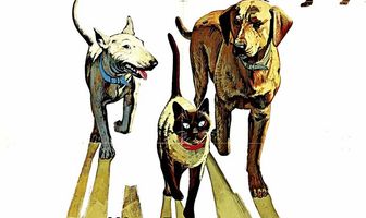 Невероятное путешествие