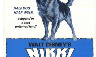 Дикий пес Севера