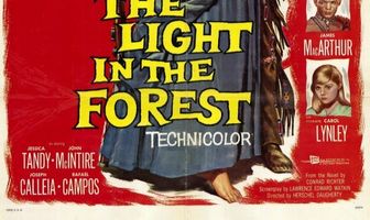 Свет в лесу