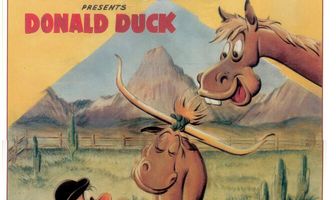 Dude Duck