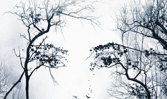 Предчувствие