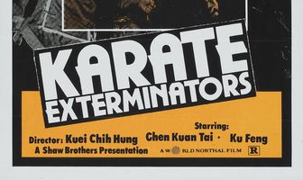 Молния кунг-фу