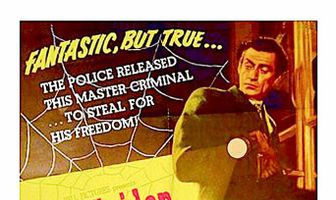 Паук и муха