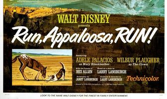 Run, Appaloosa, Run