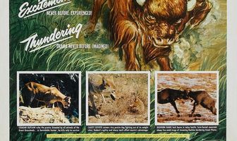 Исчезающая прерия