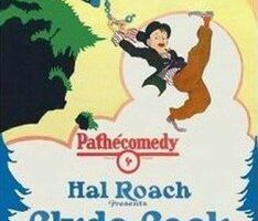 Дел невпроворот