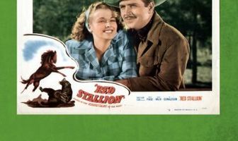 Рыжий жеребец