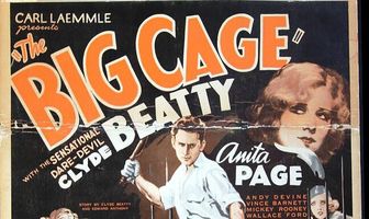 Большая клетка