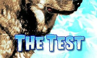 The Test