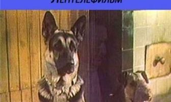Жизнь и приключения четырех друзей 2