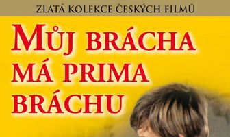 У моего брата отличный братишка