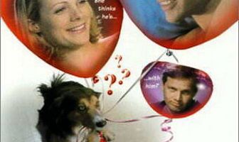 Если бы ты только знала!