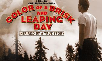 Цвет мерцающего дня