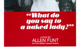 What Do You Say to a Naked Lady?