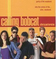 Calling Bobcat