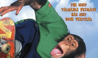 Король скейтборда