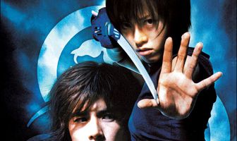 Принцесса мечей