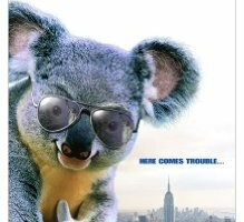 Коала в Куинсе