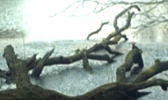 Жертвы воды