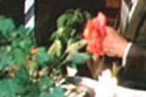 Тайна виллы