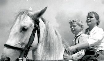 Да здравствует республика!