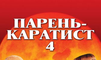 Парень-каратист 4