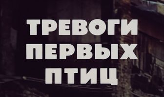 Тревоги первых птиц