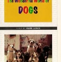 Эти удивительные собаки