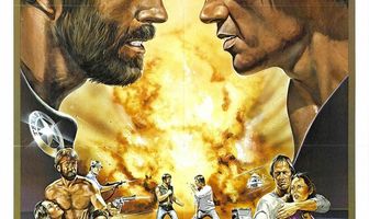 Одинокий волк МакКуэйд