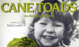 Тростниковые жабы