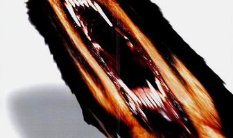 Лучший друг человека